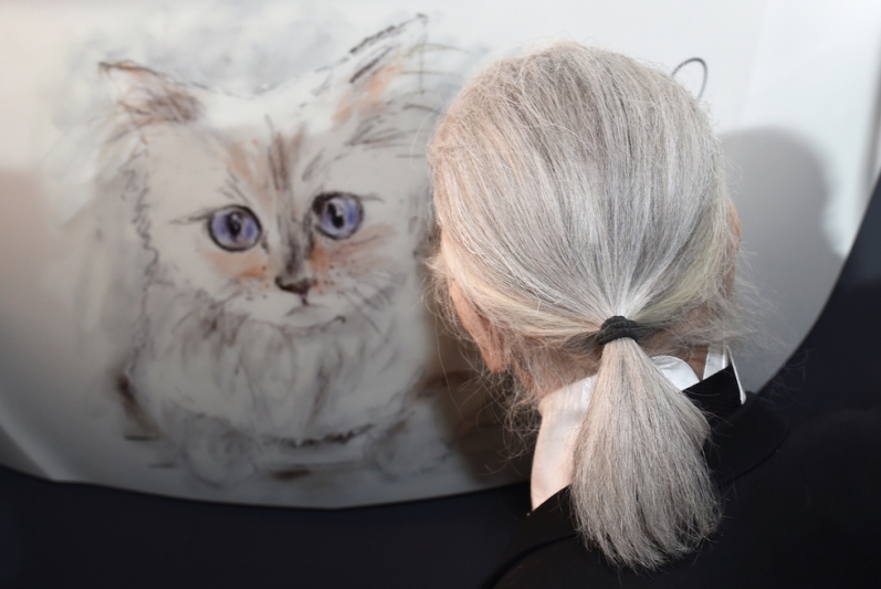 Karl Lagerfeld presents Photo Calender featuring cat  Choupette